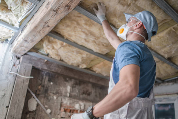 Best Eco-Friendly Insulation in Allouez, WI