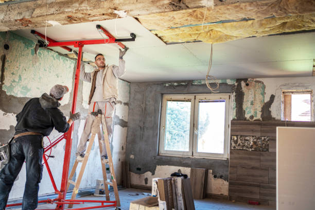 Best Cellulose Insulation in Allouez, WI